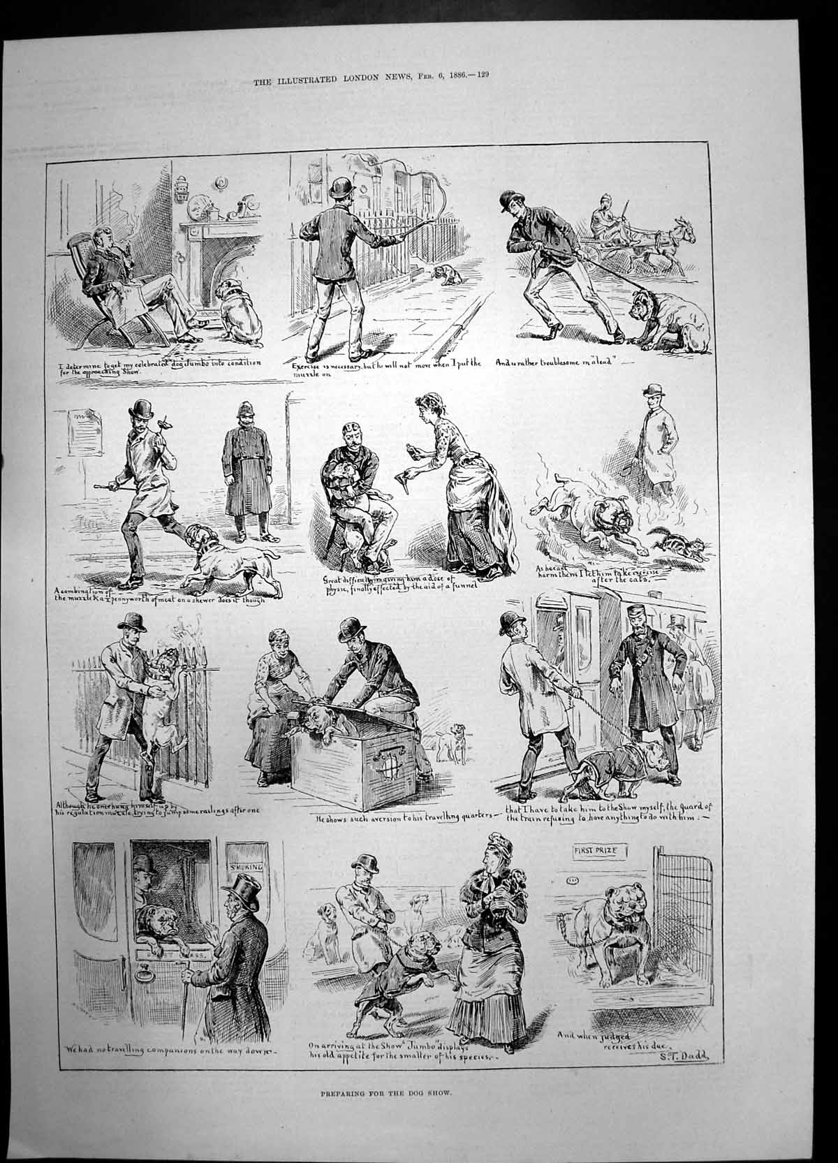 Antique Print Preparing For The Dog Show 1886 Cat First Prize Dadd Sketches