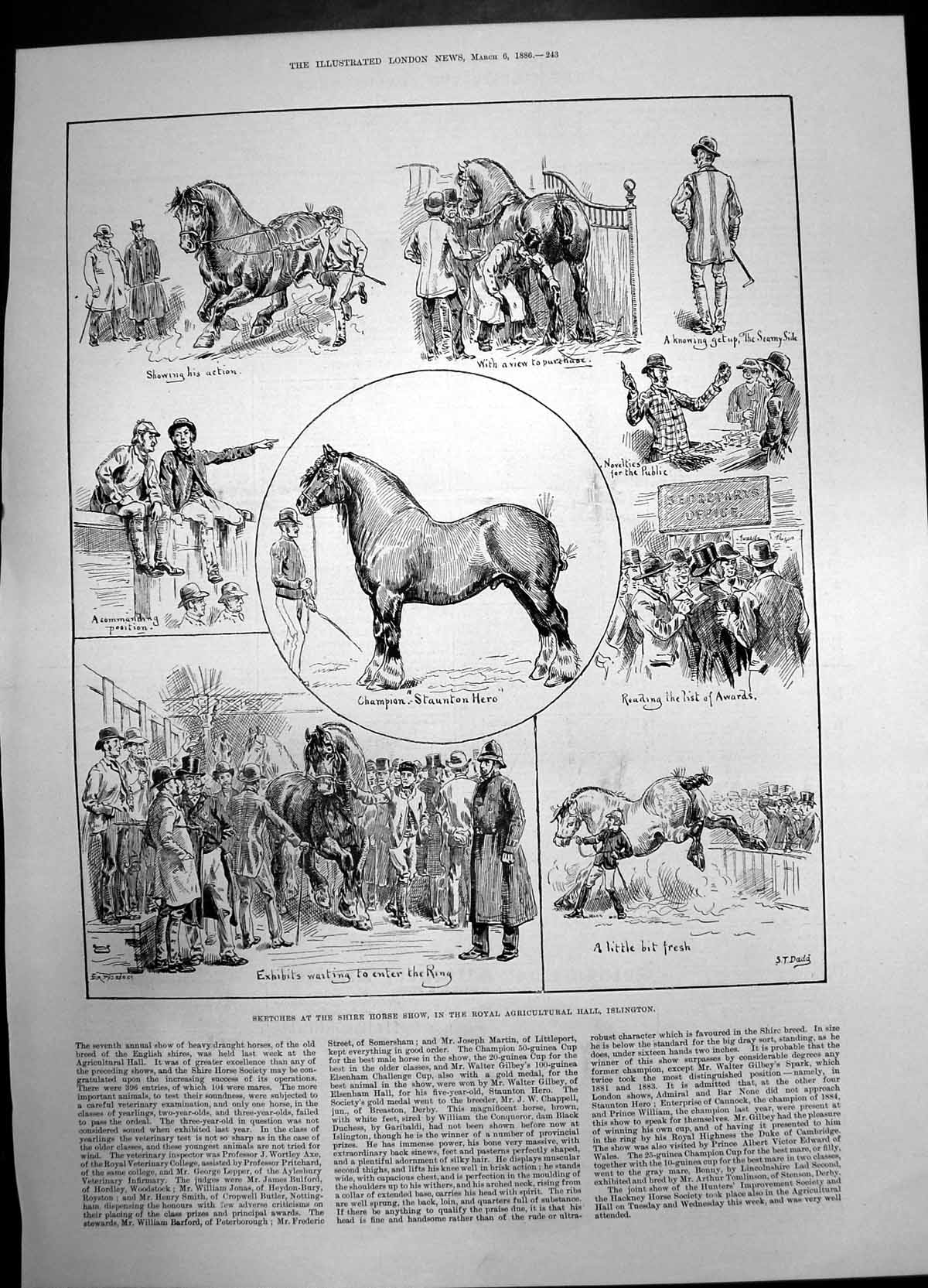 Old Sketches Shire Show Royal Agricultural Hall Inslington 1886 Horse Victorian
