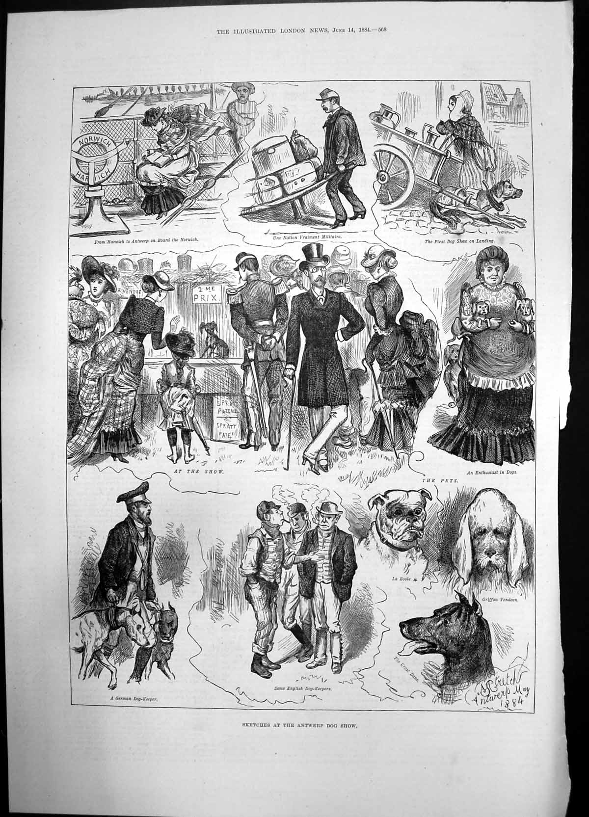 Antique Old Print Sketches Antwerp Dog Show 1884 Pets German English Keeper