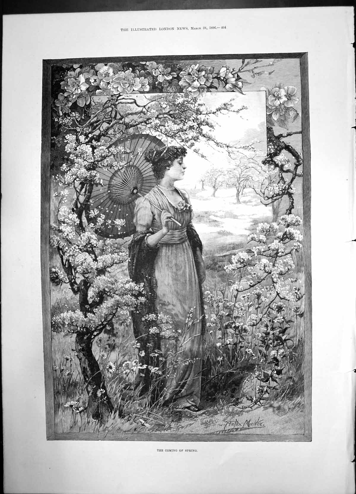 Original Old Antique Print The Coming Spring 1896 Woman Umbrella Tree Flowers