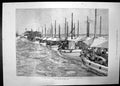 Old Nile Expedition First Division Camel Corps Wady Halfa Boats 1884 Victorian