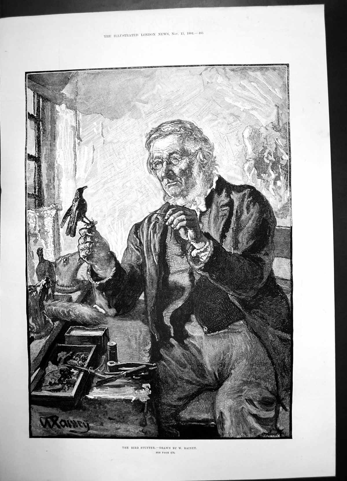 Original Old Antique Print Bird Stuffer Rainey 1884 Man Working Portrait Tools