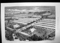 Old Irish Royal Agricultural Society Show Dublin 1871 Ground Livestoc Victorian