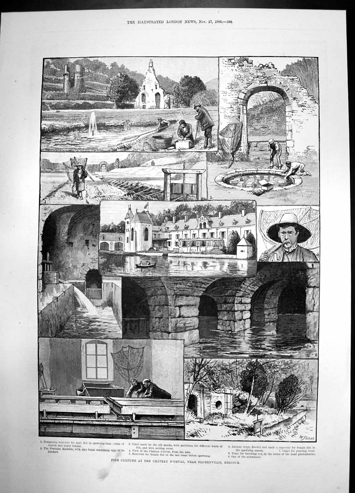 Old Fish Cultures Chateau Dorval Florenville Belgium 1886 Canal Nets Victorian