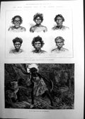 Original Old Antique Print Natives With Spears Boomerangs Port Darwin 1886 19th