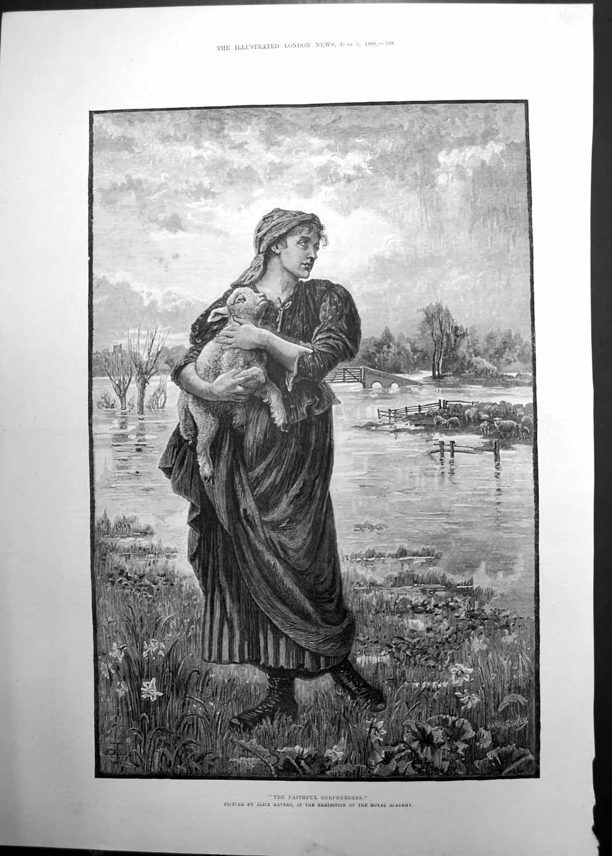 Antique Print Faithful Shepherdess Alice Havers Exhibit Royal Academy 1886 19th