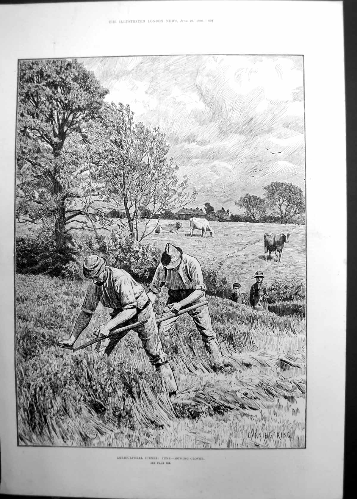 Original Old Antique Print Agricultural Scenes Mowing Clover Men Cattle 1886
