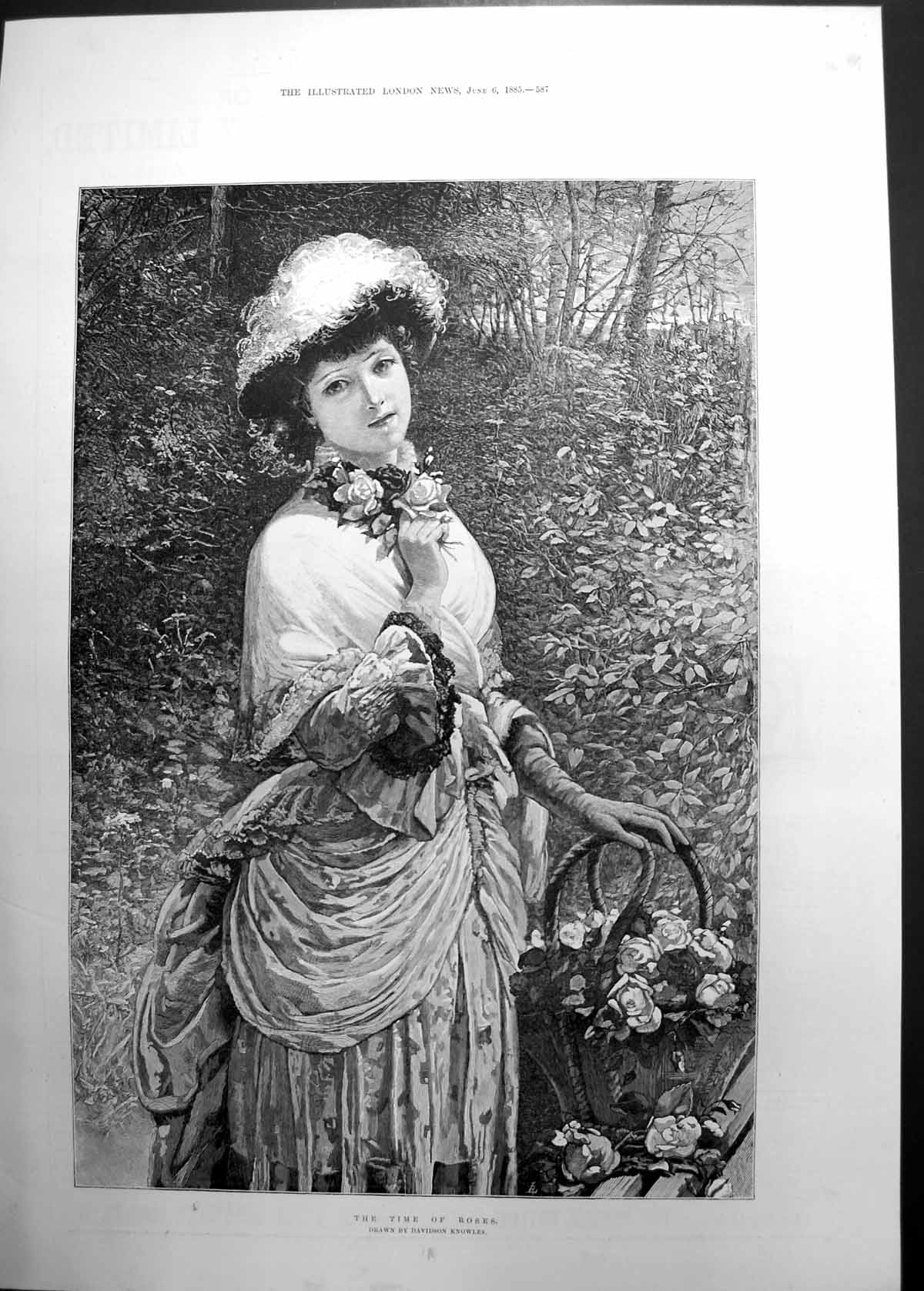 Original Old Antique Print Time Roses Davidson Knowles Girl Picking Roses 1885