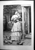 Original Old Antique Print First Favourite Lady Feeding Hing Pigeons 1893 19th