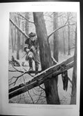 Original Old Antique Print Black Sable Trapping Norrn China & Saghalien 1900