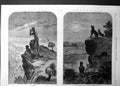 Original Old Antique Print Australian Natives Dingoes Prowling Round Sheepf1863