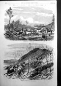 Antique Print Bush Life Queensland Mustering Cattle Running In Horses 1863 19th