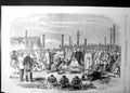 Old Settlers Maoris Village Meeting Napier Hawkes Bay New Zealand 186 Victorian