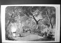 Original Old Antique Print Scene Opera Robin Hood At Her Majestys Atre 1860