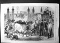 Antique Old Print Metropolitan Cattle Market Foreign Cattle Inspection 1865