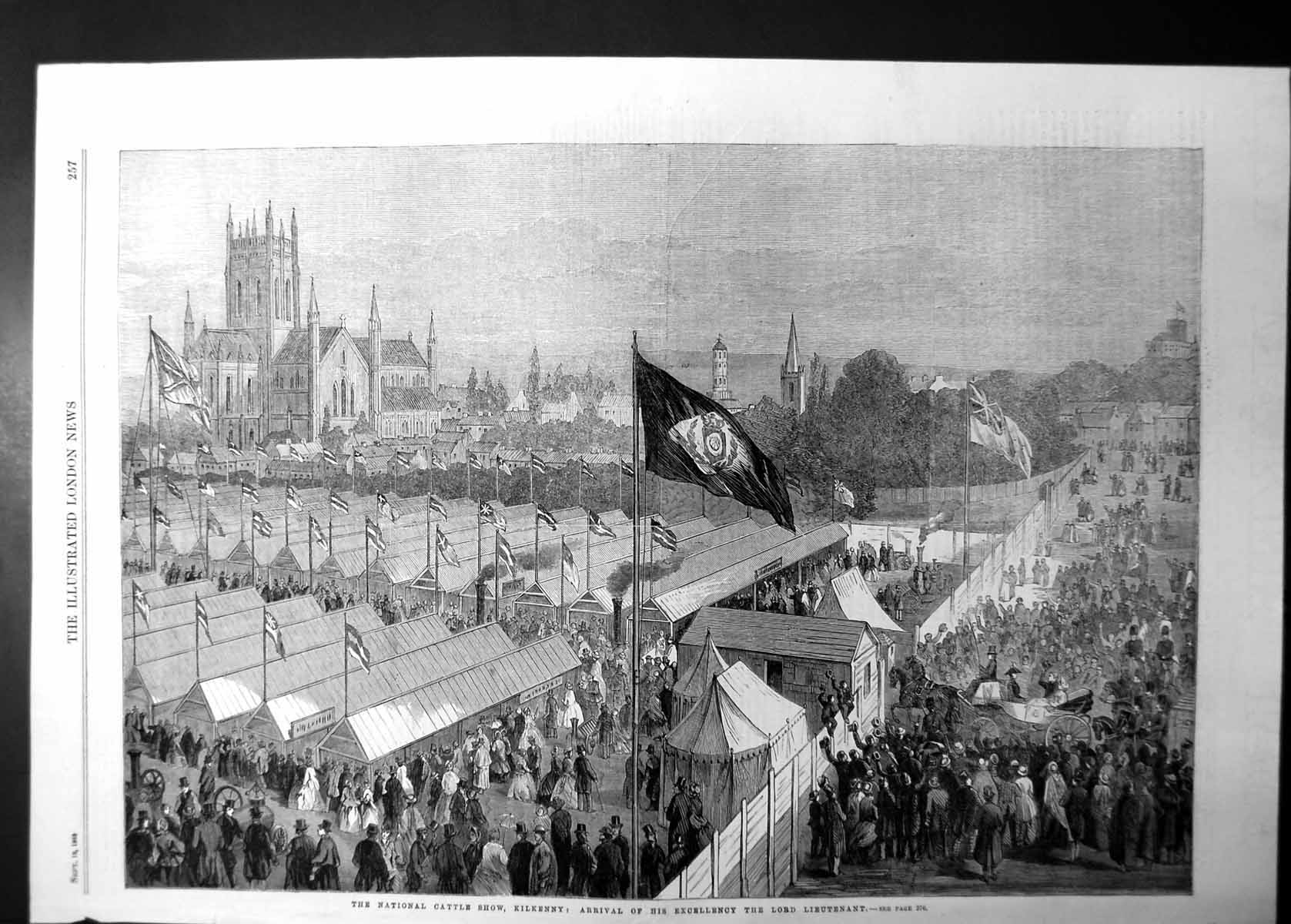 Antique Old Print National Cattle Show Kilkenny Arrival Lord Lieutenant 1863