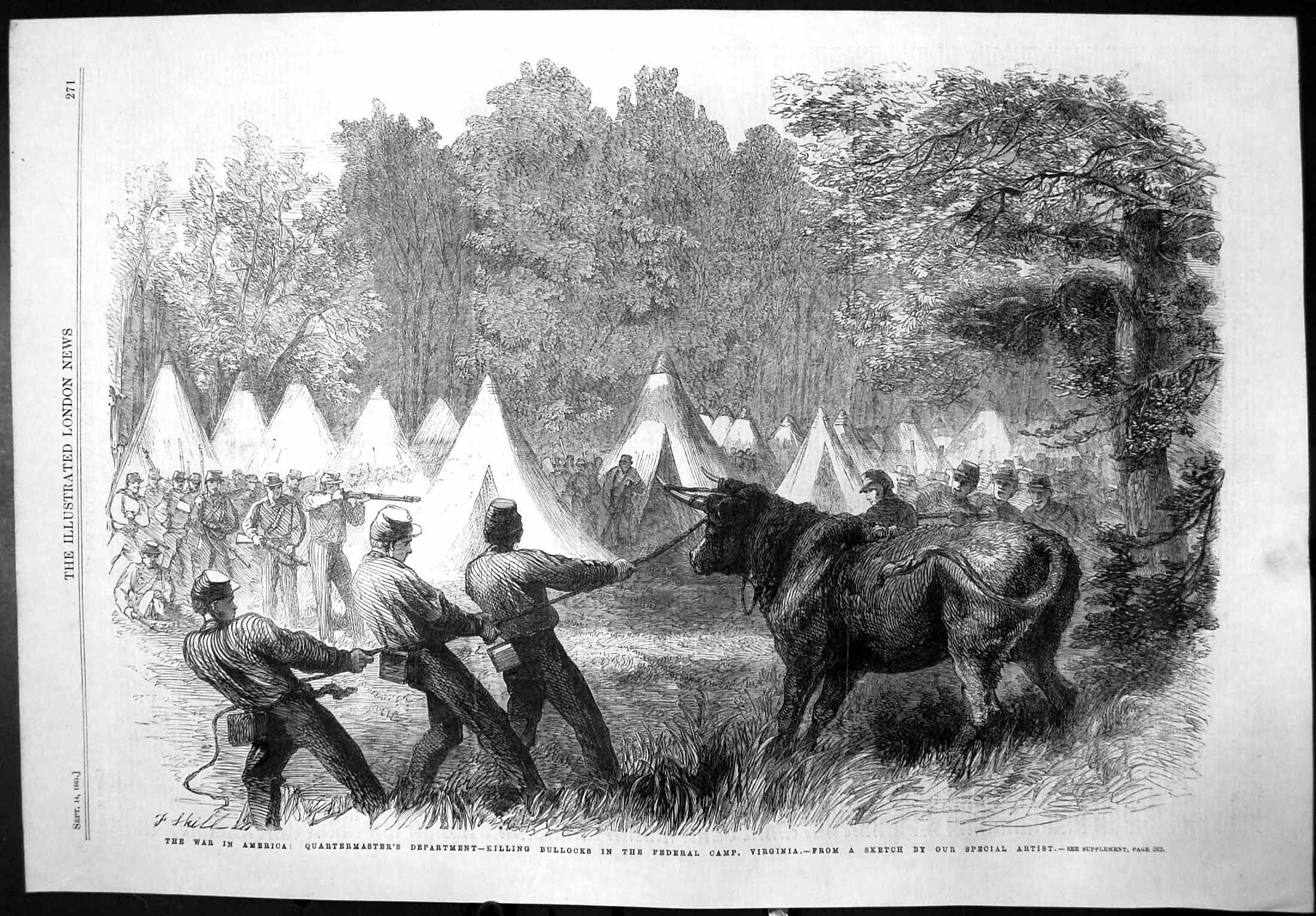 Old Antique Print War America Killing Bullocks Federal Camp Virginia 1861 19th