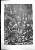 Antique Old Print Bear Hunters Montana Victors Vanquished Woods Knife 1895 19th