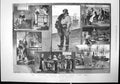 Antique Old Print French Sardine Industry Boiling Sering Tins Packing 1890 19th