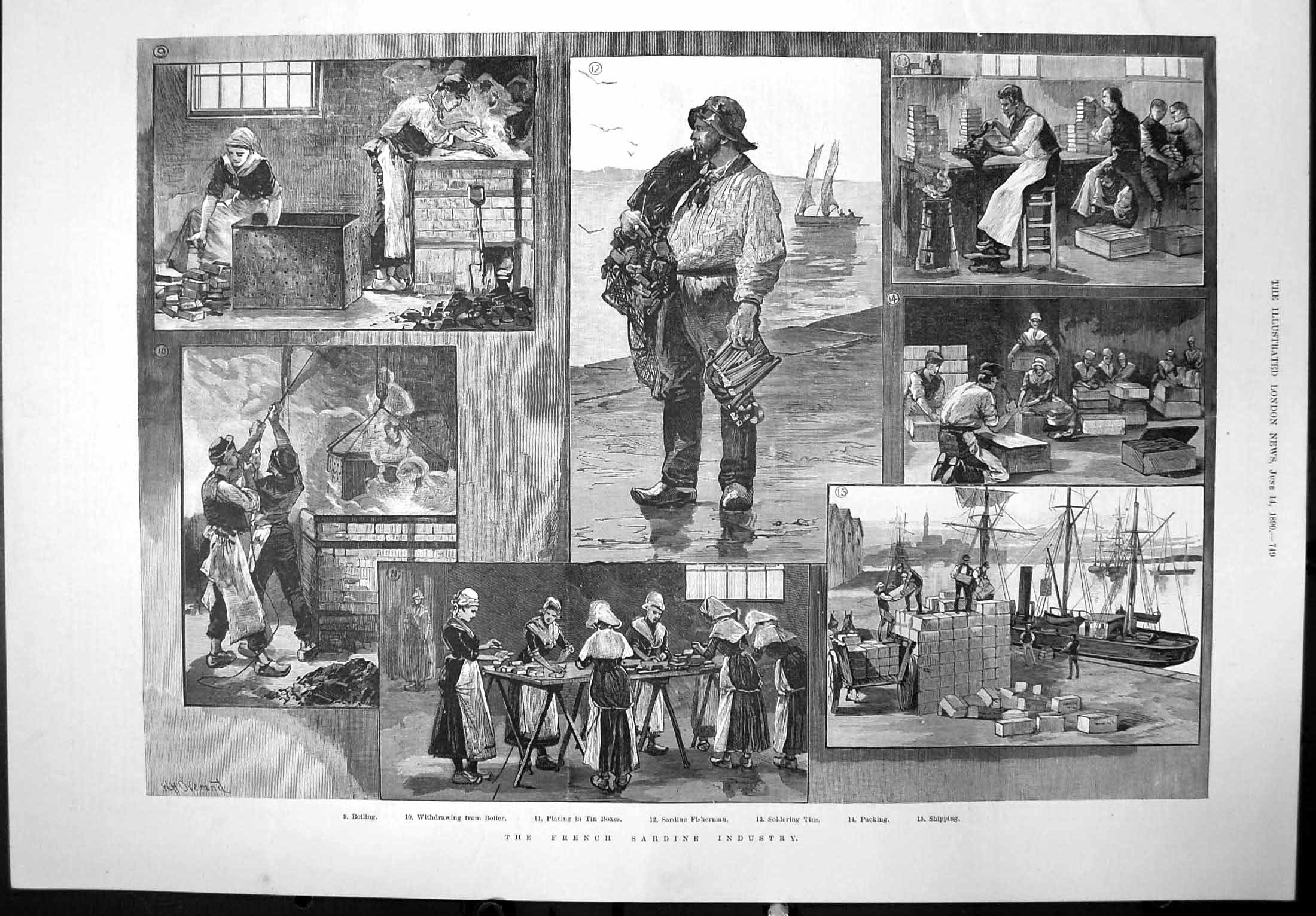 Antique Old Print French Sardine Industry Boiling Sering Tins Packing 1890 19th