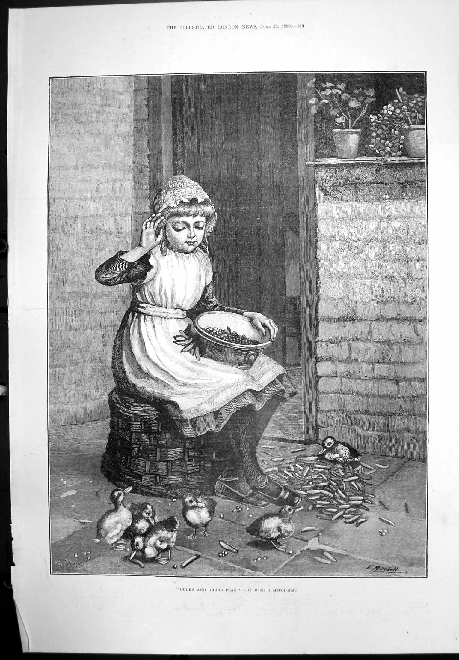 Antique Old Print Ducks Green Peas Miss E Mitchell Girl Feeding Ducks 1890 19th