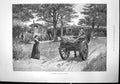 Old Antique Print Encampment Travelling Showmen Caravan Horse Cart 1891 19th