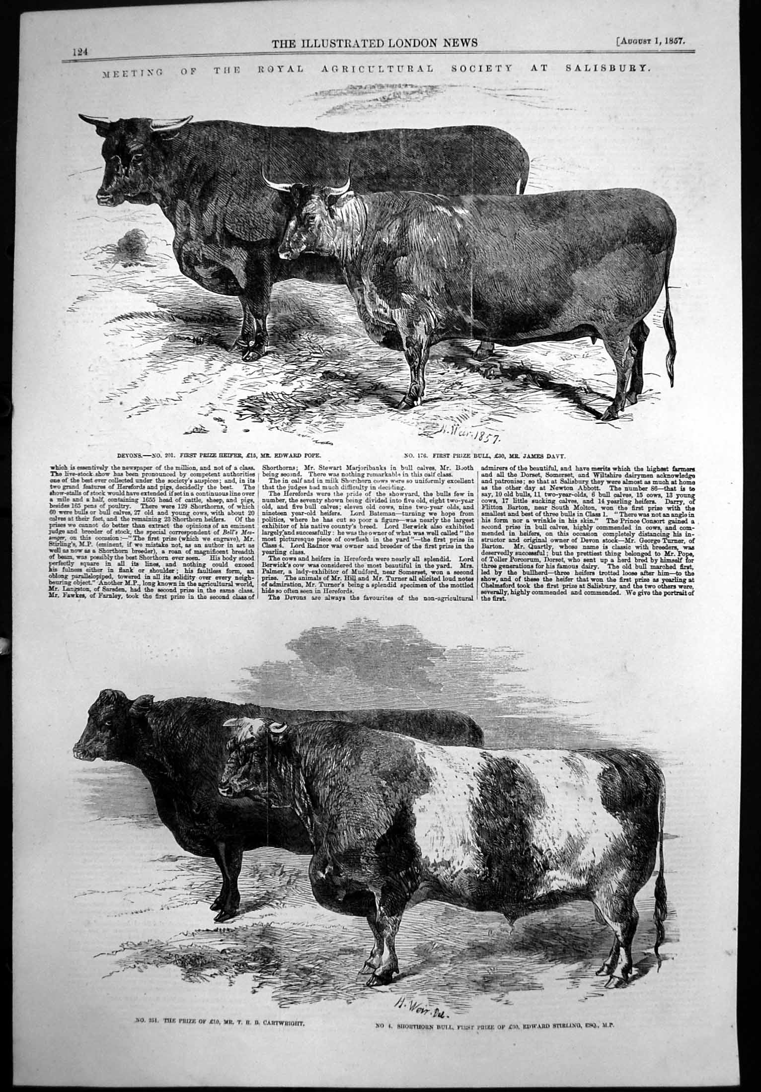 Antique Old Print Royal Agricultural Soc Meeting Salisbury Prize Cattle 1857