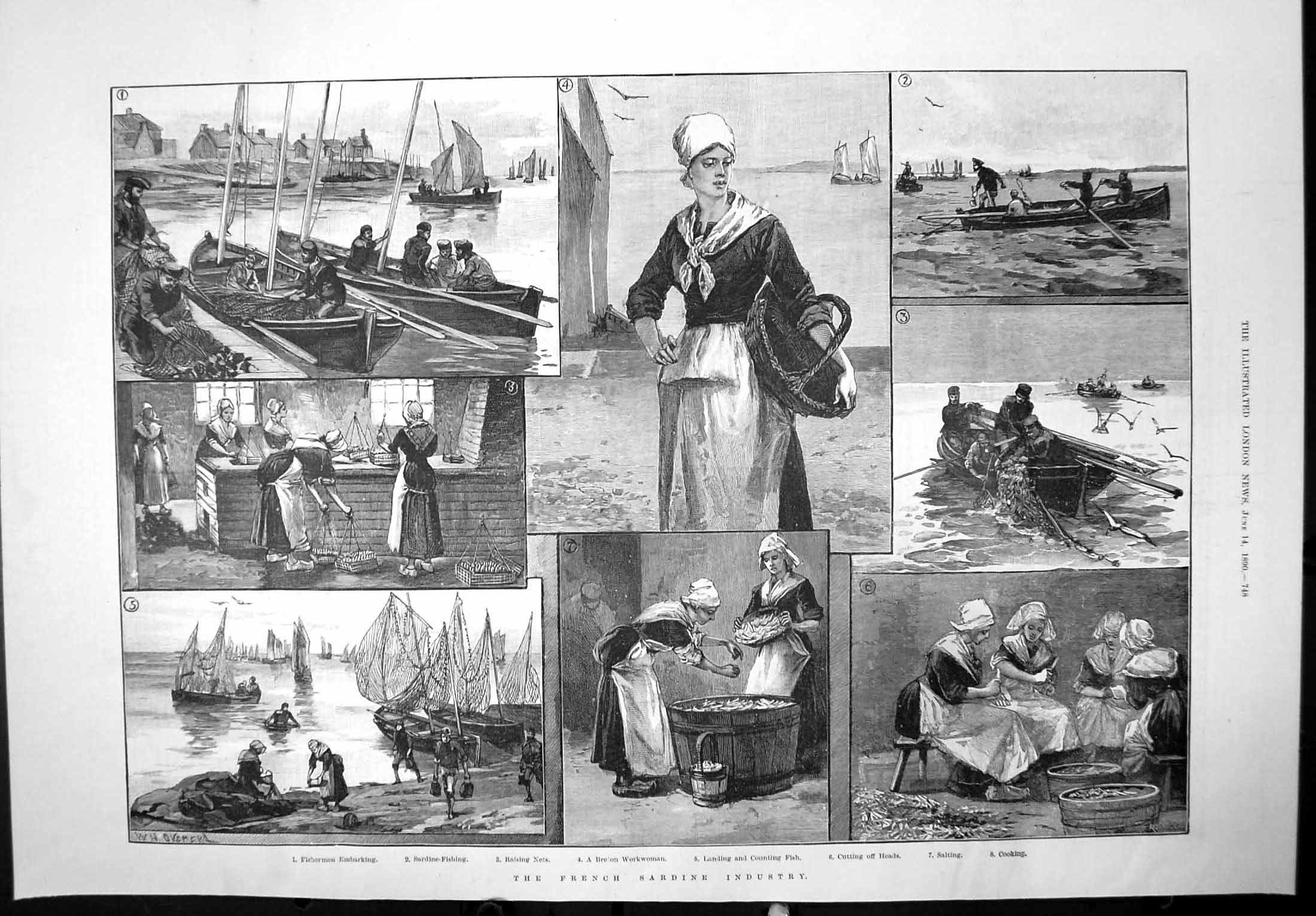 Old Print French Sardine Industry Nets Landing Fish Salting Cooking 1890 19th