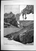 Antique Old Print After Rocky Mountain Sheep R Caton Woodville Gunman 1890 19th