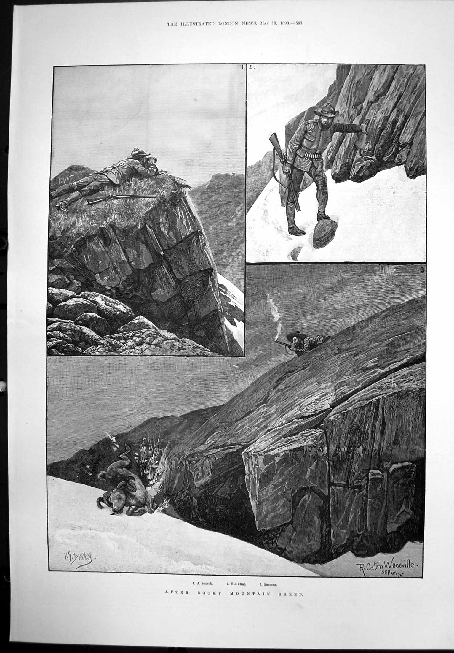 Antique Old Print After Rocky Mountain Sheep R Caton Woodville Gunman 1890 19th