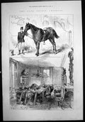 Original Old Antique Print Late Prince Imperial Favourite Horse Stag Study 1879