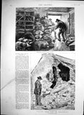 Antique Print Ireland Barricading House Resist Eviction After Eviction 1888