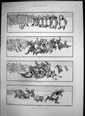 Old Antique Print Pig Hunt Holland Start Race Exciting Finish Winner 1894 19th