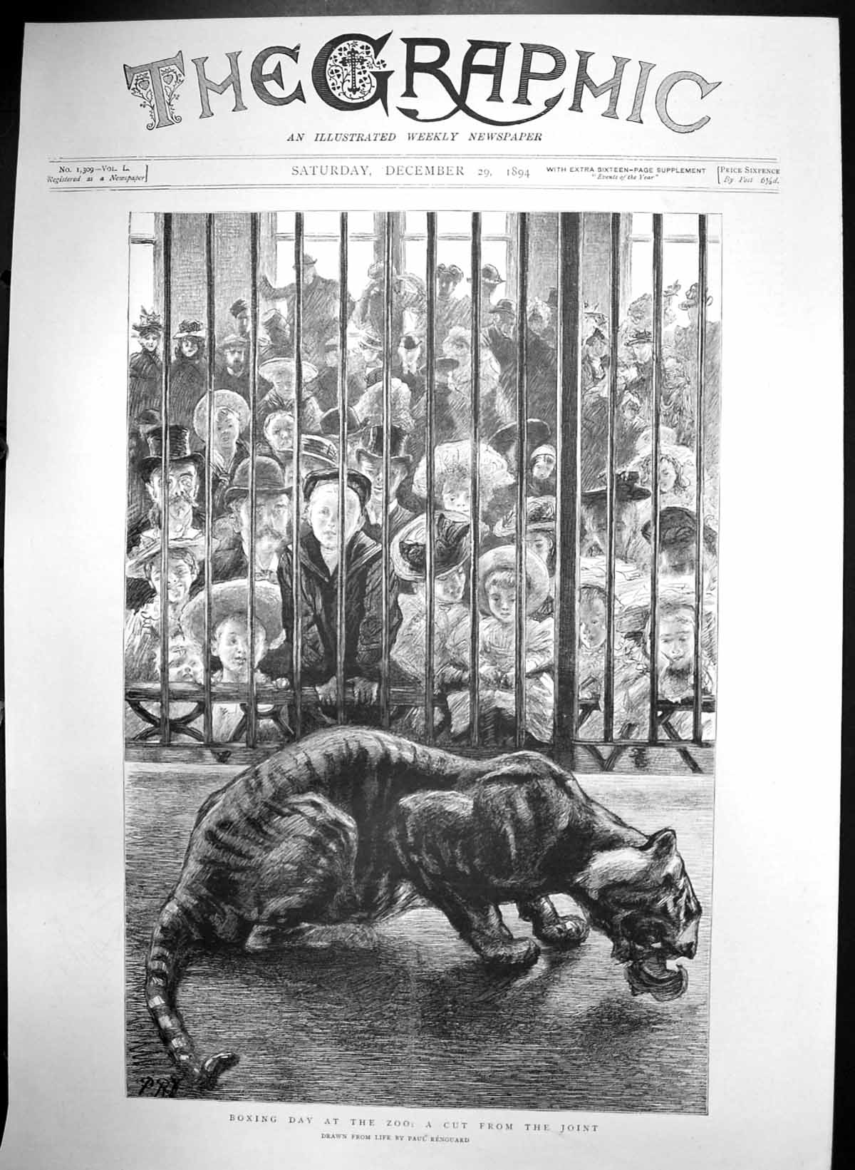 Old Boxing Day Zoo Cut From Joint Tiger Eating Children Look On 1894 Victorian
