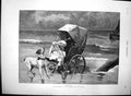 Original Old Antique Print Danger Am Rossi Dog Children Pram Water Seaside 1887