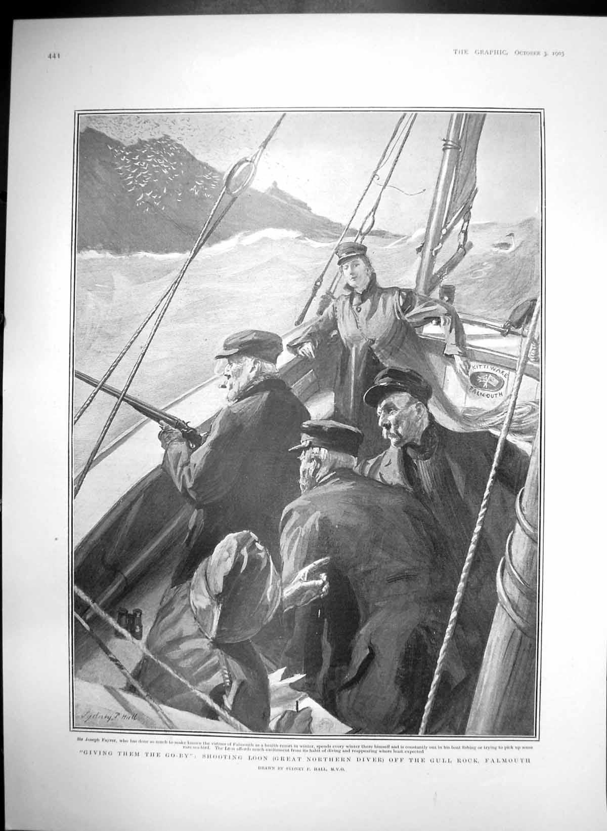 Antique Old Print Shooting Loon Great Northern Diver Gull Rock Falmouth 1903