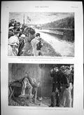 Old Print French English Boat Race Seine RemainsMen Isle Roncador1892