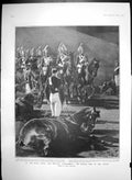 Old Antique Print Royal Naval Military Tournament Musical Ride Blues 1905 20th