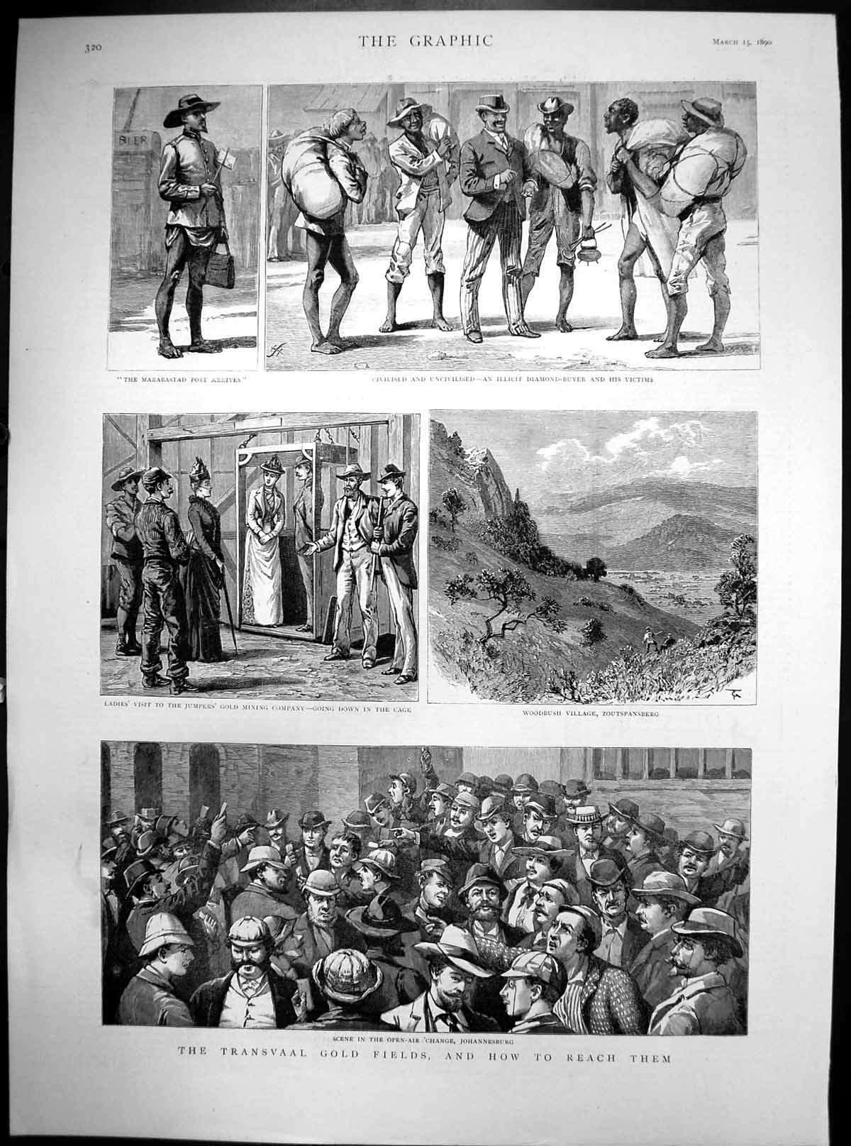 Original Old Antique Print Transvaal GFields Woodbrush Zoutspansberg 1890 19th