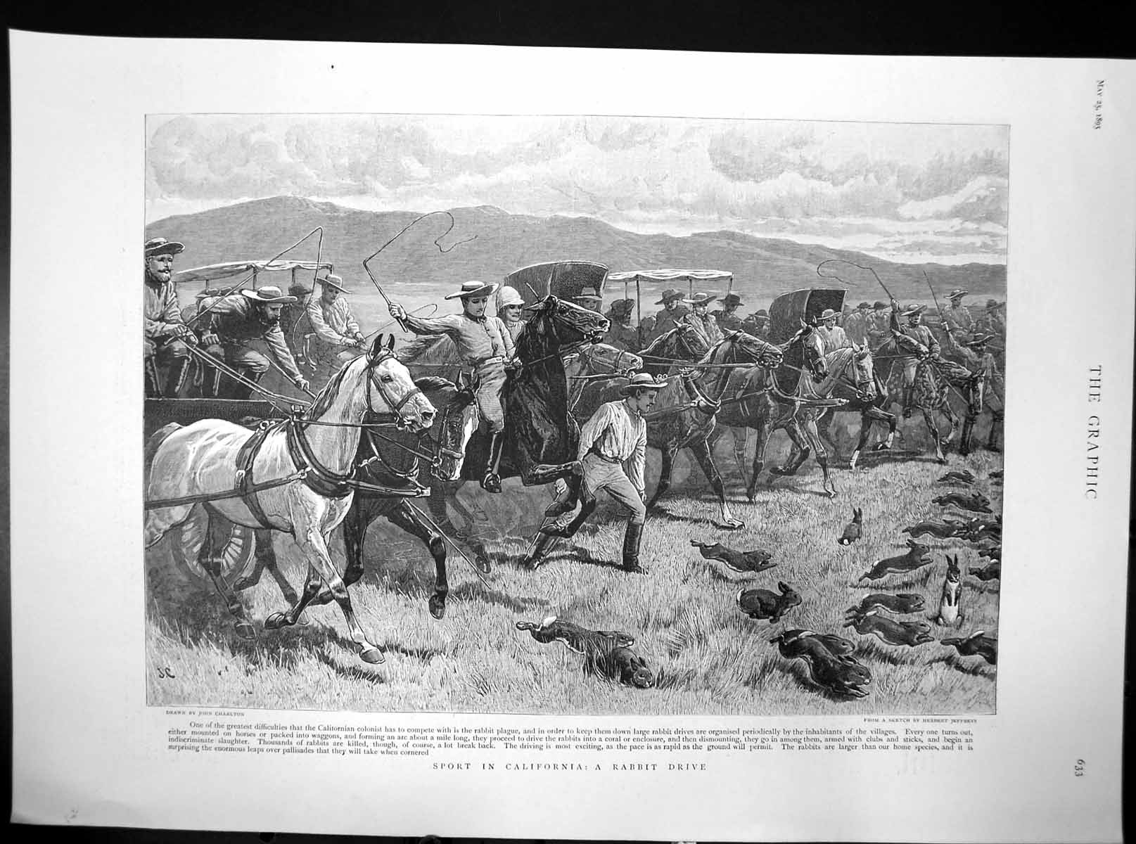 Old Antique Print Sport In California Rabbit Drive Herbert Jeffreys 1895 19th