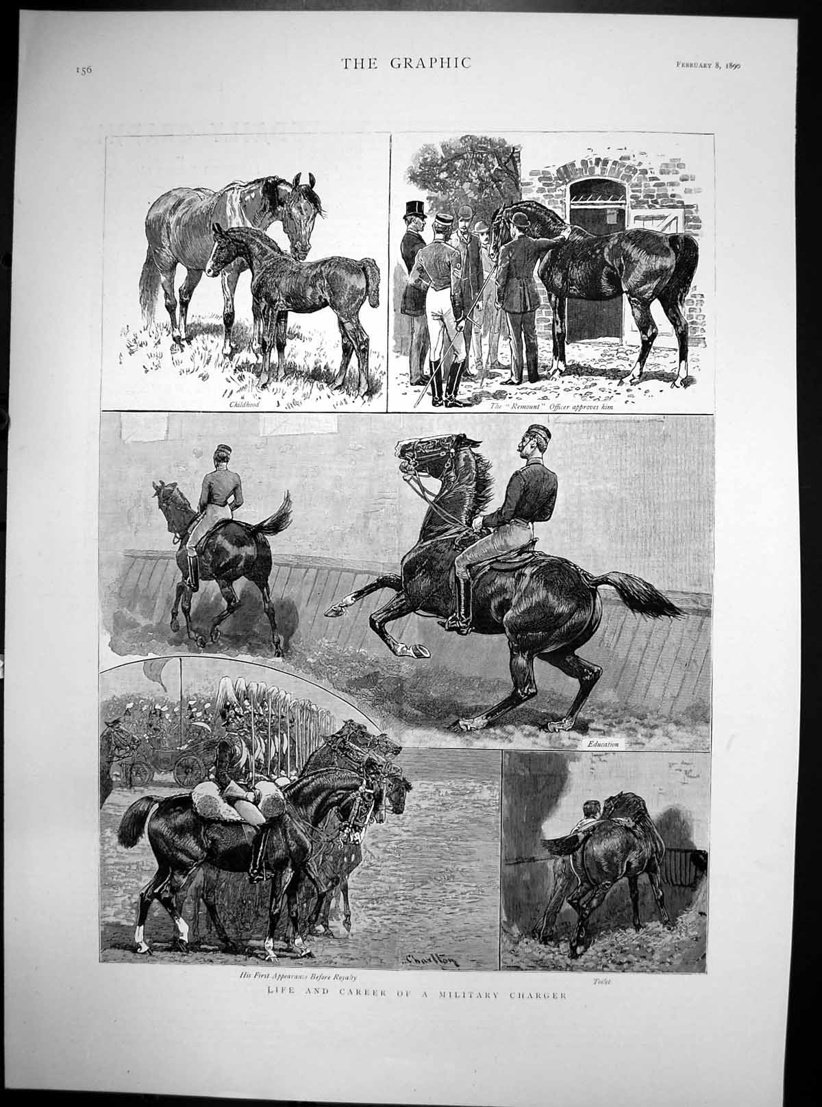 Antique Old Print Life Career Military Charger Appearance Before Royalty 1890