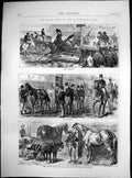 Original Old Antique Print Horse Show Agricultural Hall Judging Leaping 1871