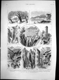 Old Print Mentone Valley St Louis Olive Mills Ciotti Castleroccabruna1880 19th