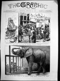Antique Old Print Jumbo African Elephant Zoological Gardens Mr Barnum 1882 19th