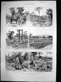 Original Old Antique Print Ruby Mines District Upper Burma Goorka Officers 1887