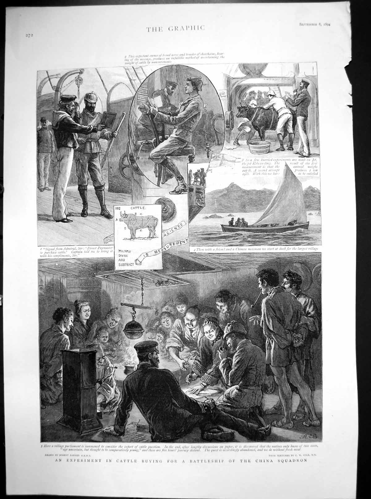 Antique Old Print Experiment Cattle Buying For Battleship China Squadron 1894