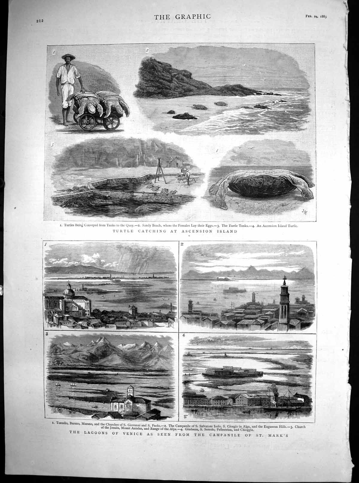 Original Old Antique Print Turtle Catching Ascention Island Lagoons Venice 1883