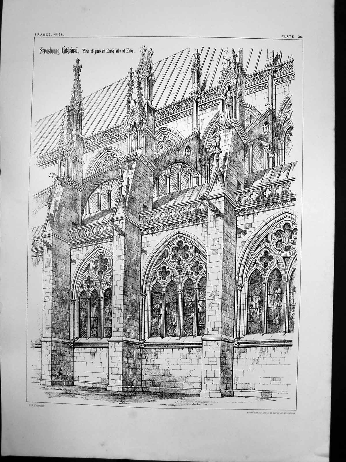 Original Old Antique Print Strasbourg Cathedral Part North Side Nave C 1880