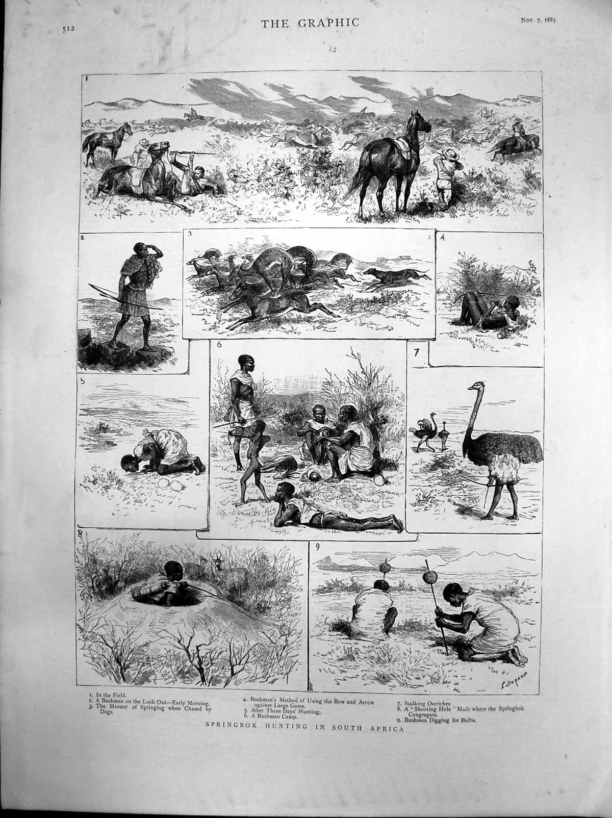 Old Antique Print Springbok Hunting South Africa Bushmen Bow Arrow 1885 19th