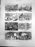 Old Antique Print Discoveries GTransvaal Barberton Elephants Creek 1887 19th